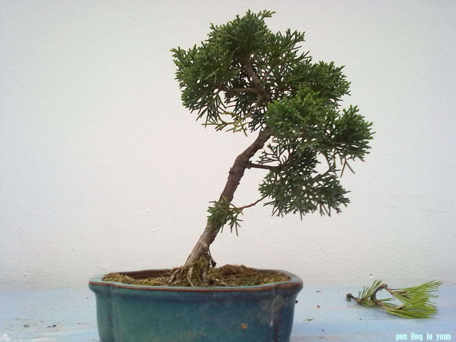 20111023848.jpg