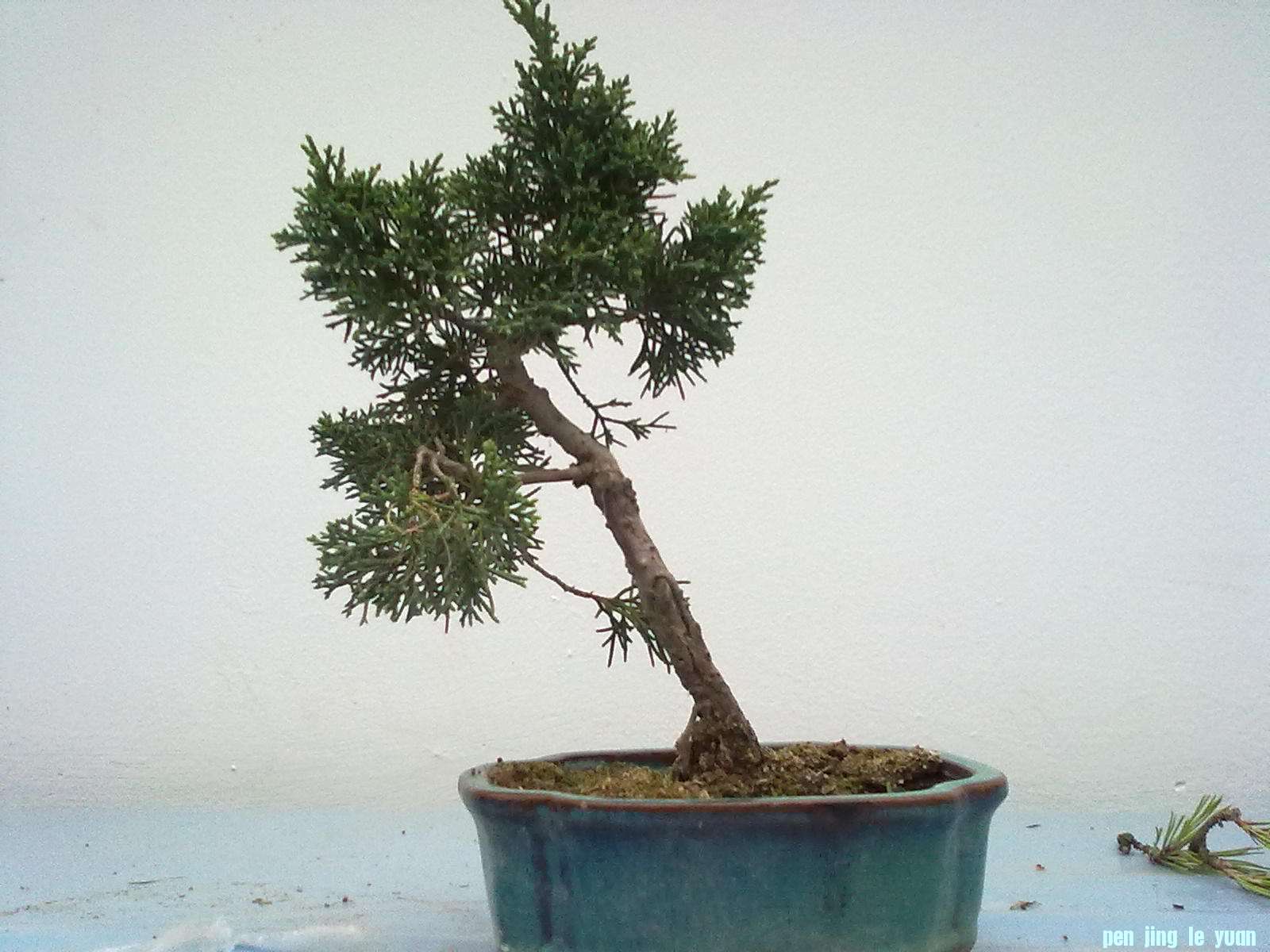 20111023849.jpg