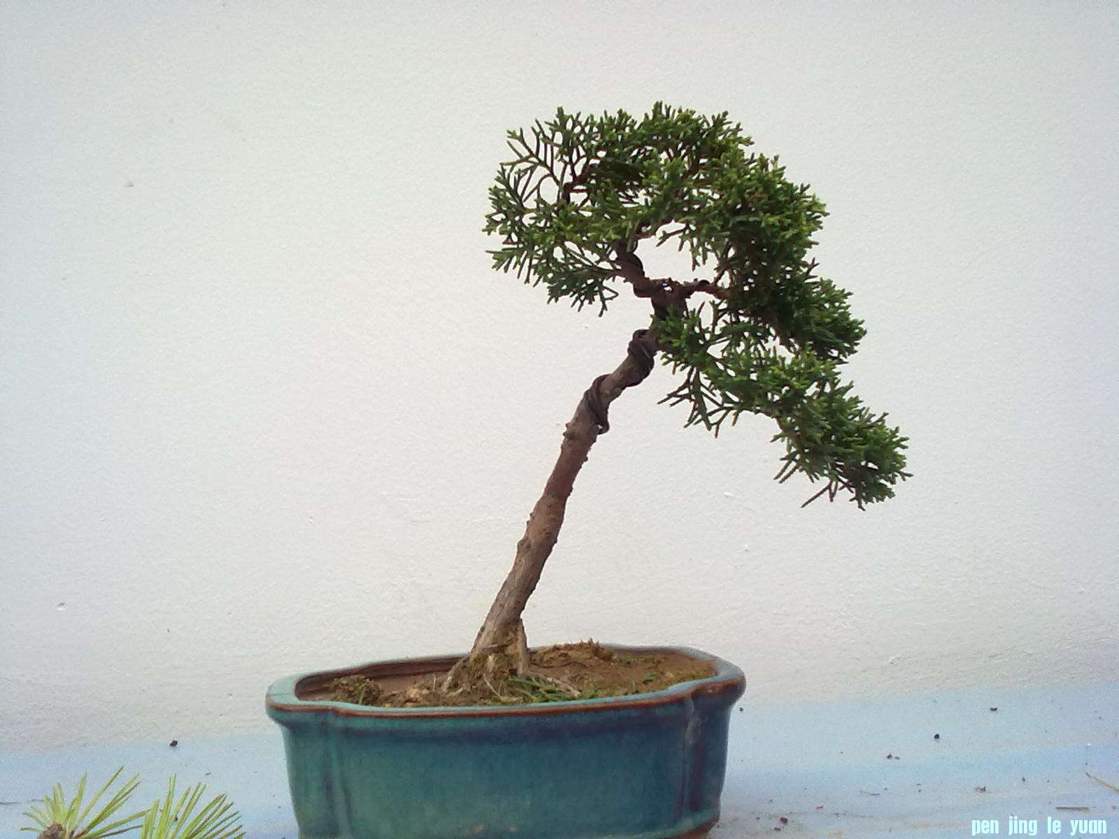20111024850.jpg