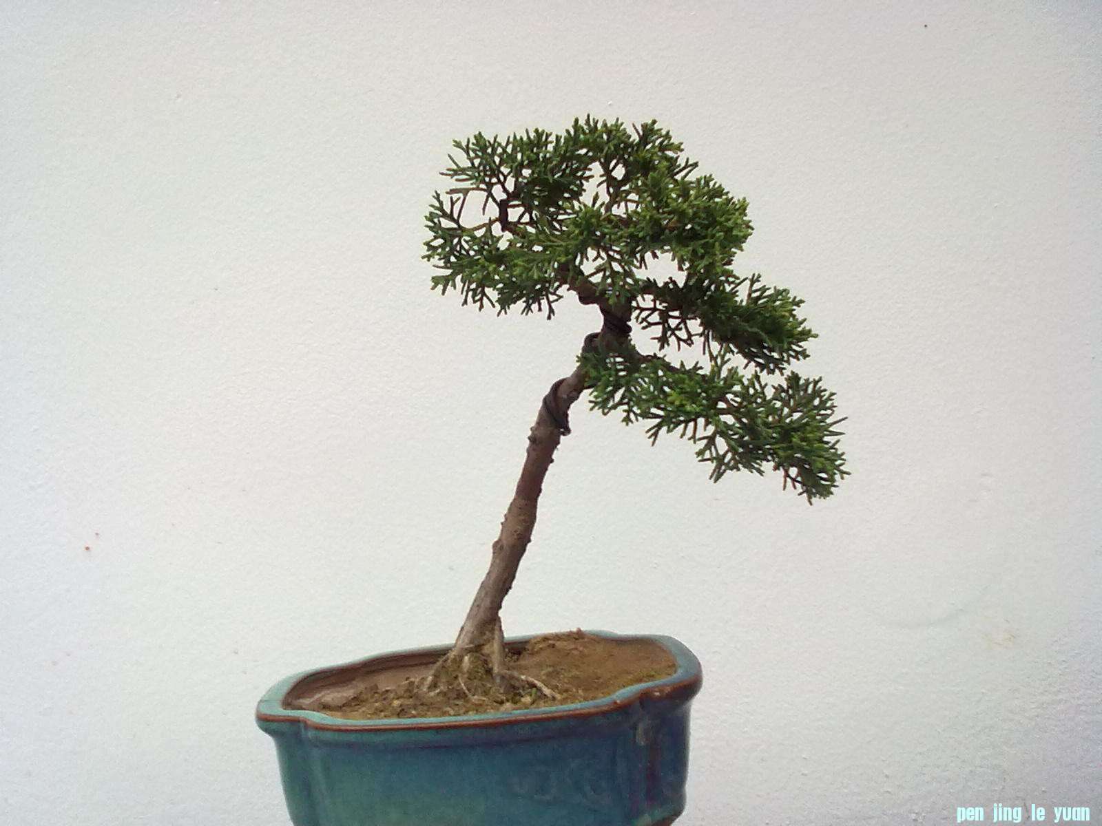 20111024853.jpg