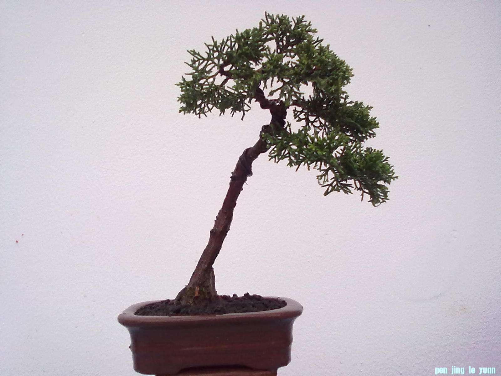 20111024858.jpg
