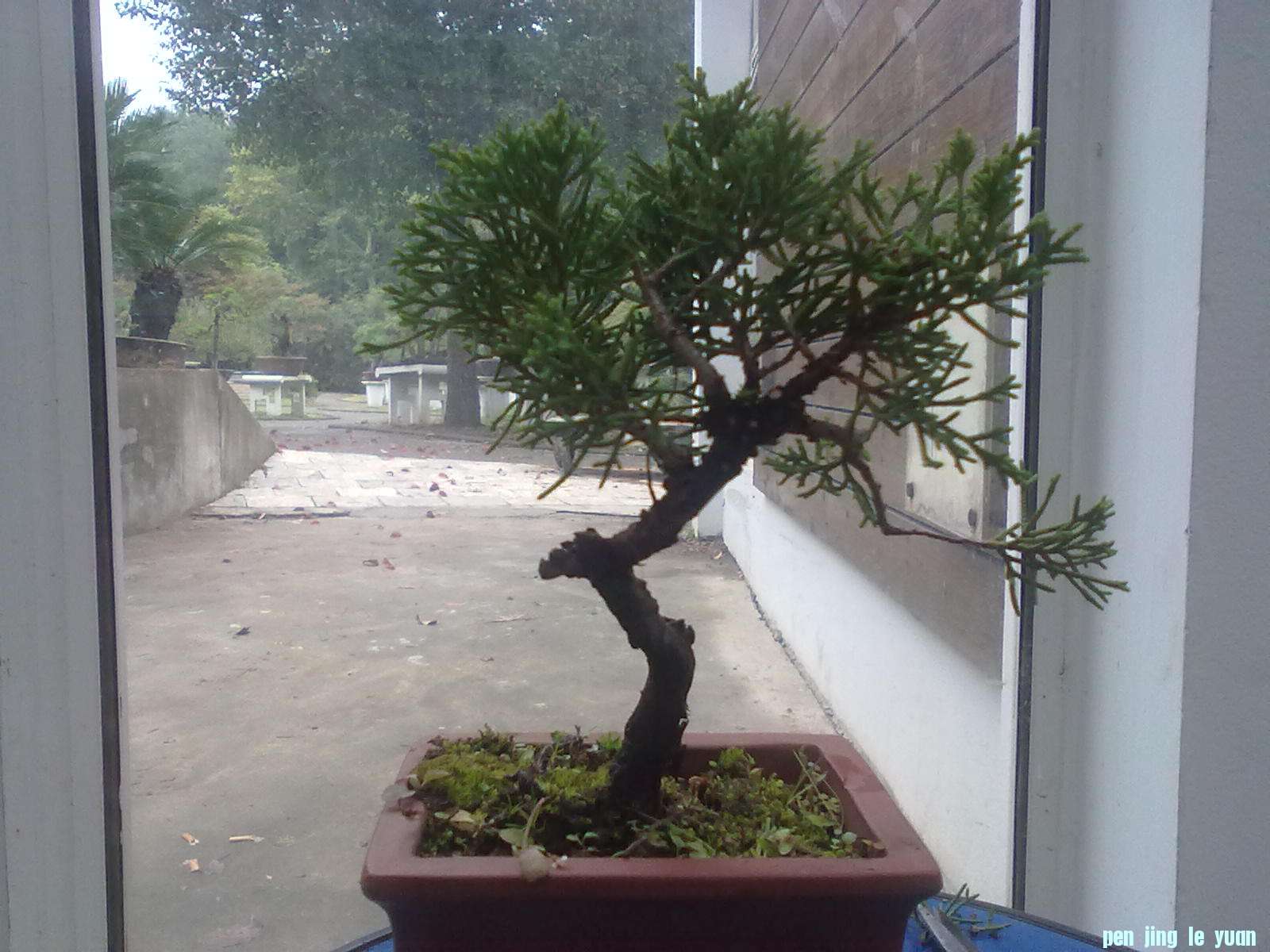 20111024860.jpg