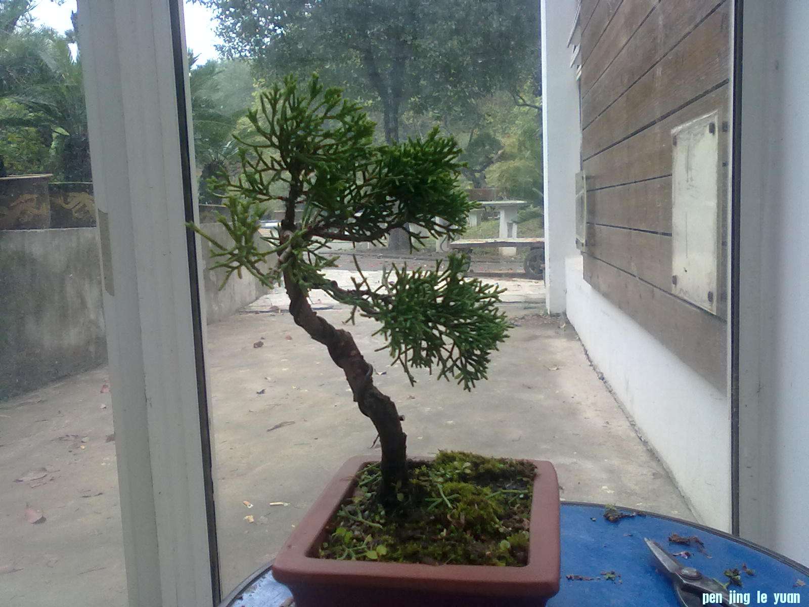 20111024861.jpg
