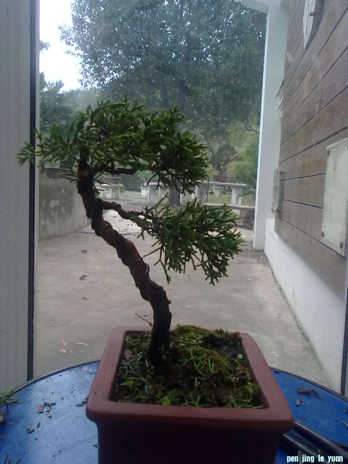 20111024862.jpg
