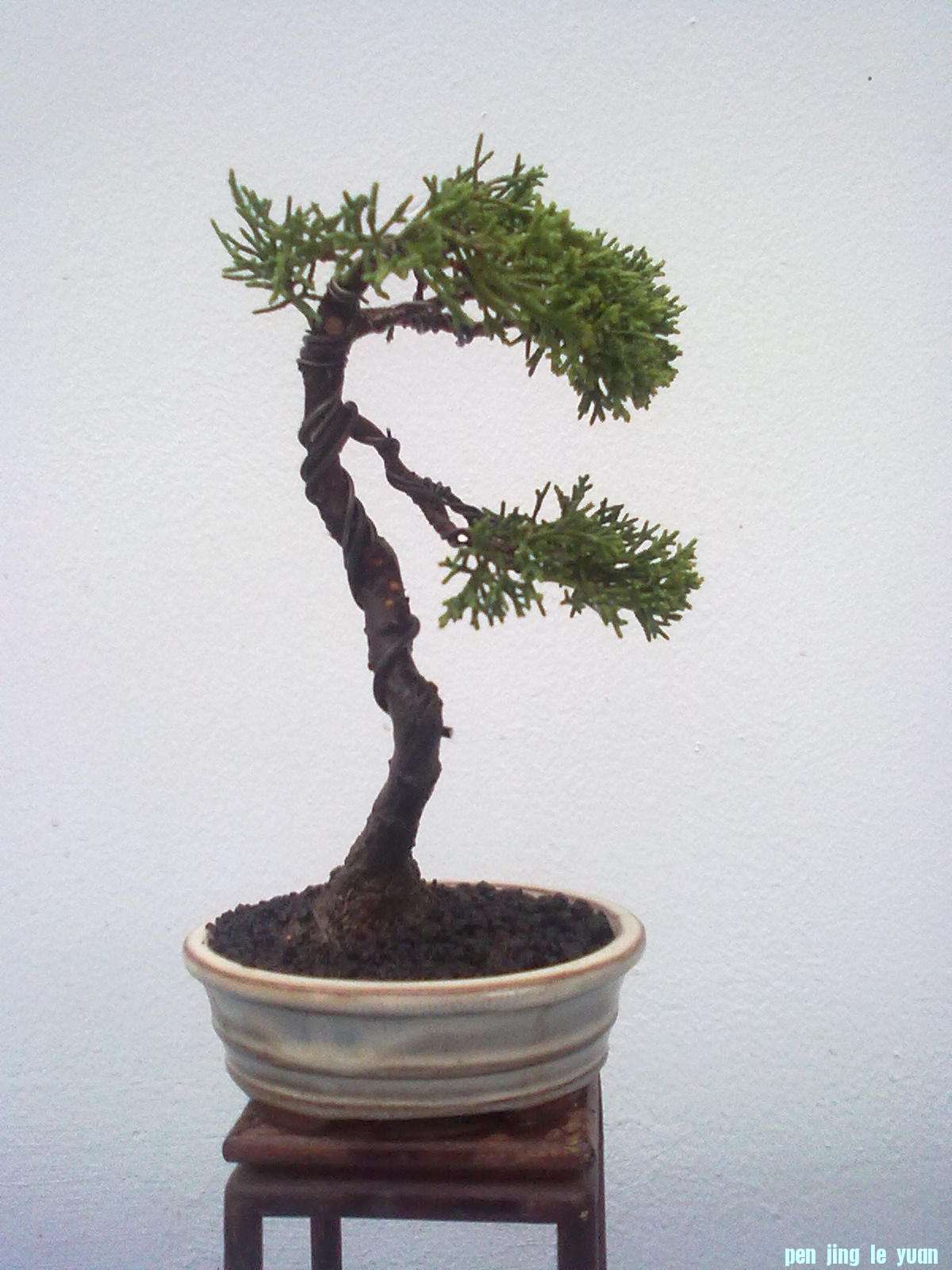 20111024866.jpg