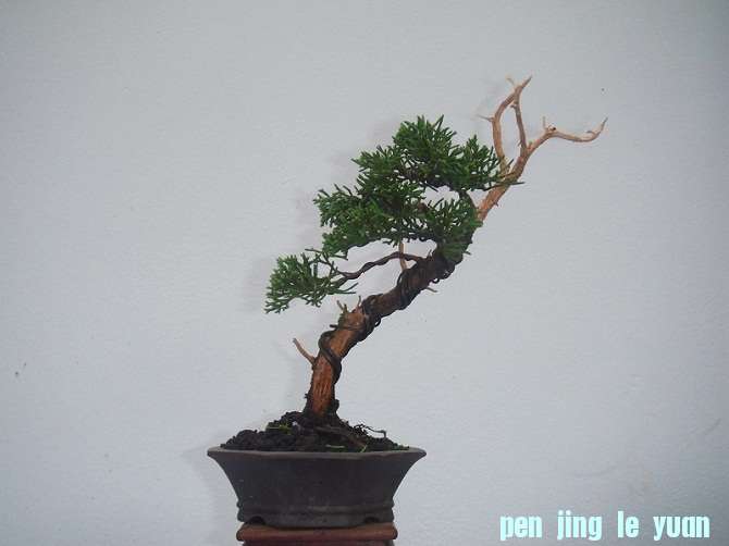 DSCF3757.JPG