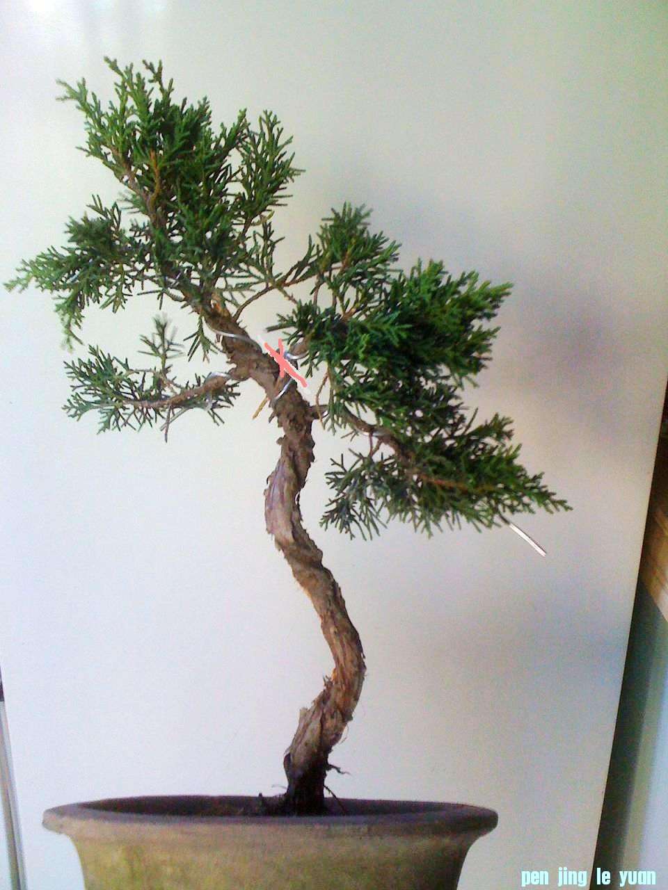 Ƭ 005.jpg