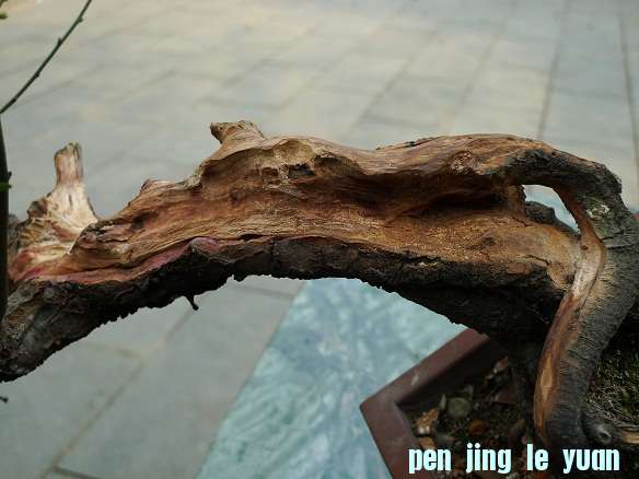 P1020110.JPG