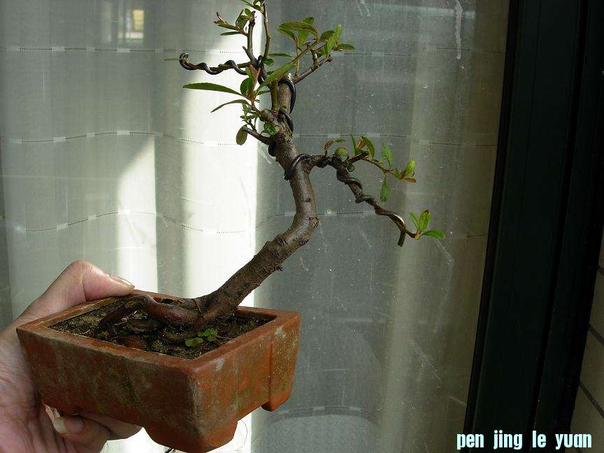 DSCN6067.JPG