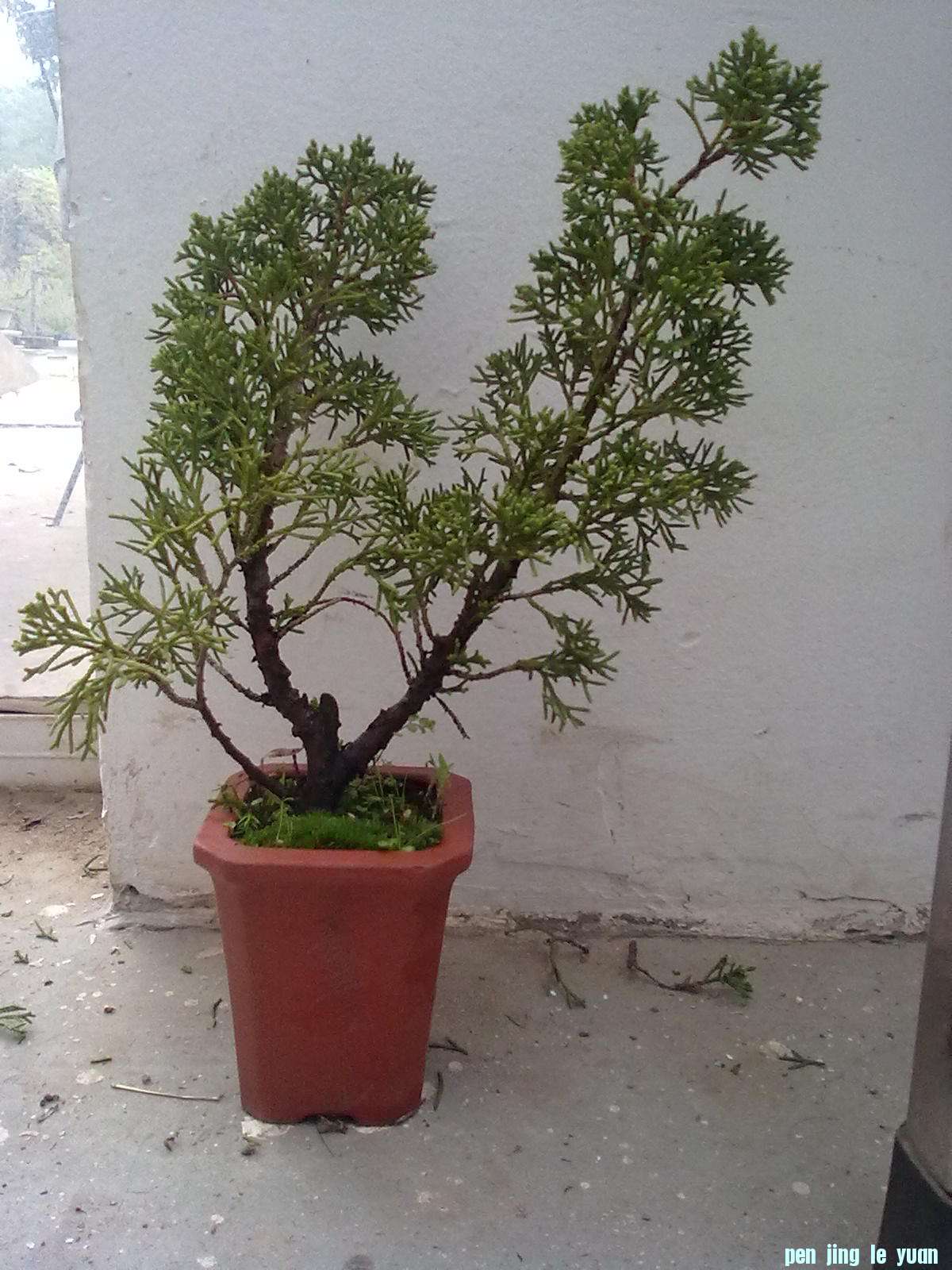 20111026867.jpg