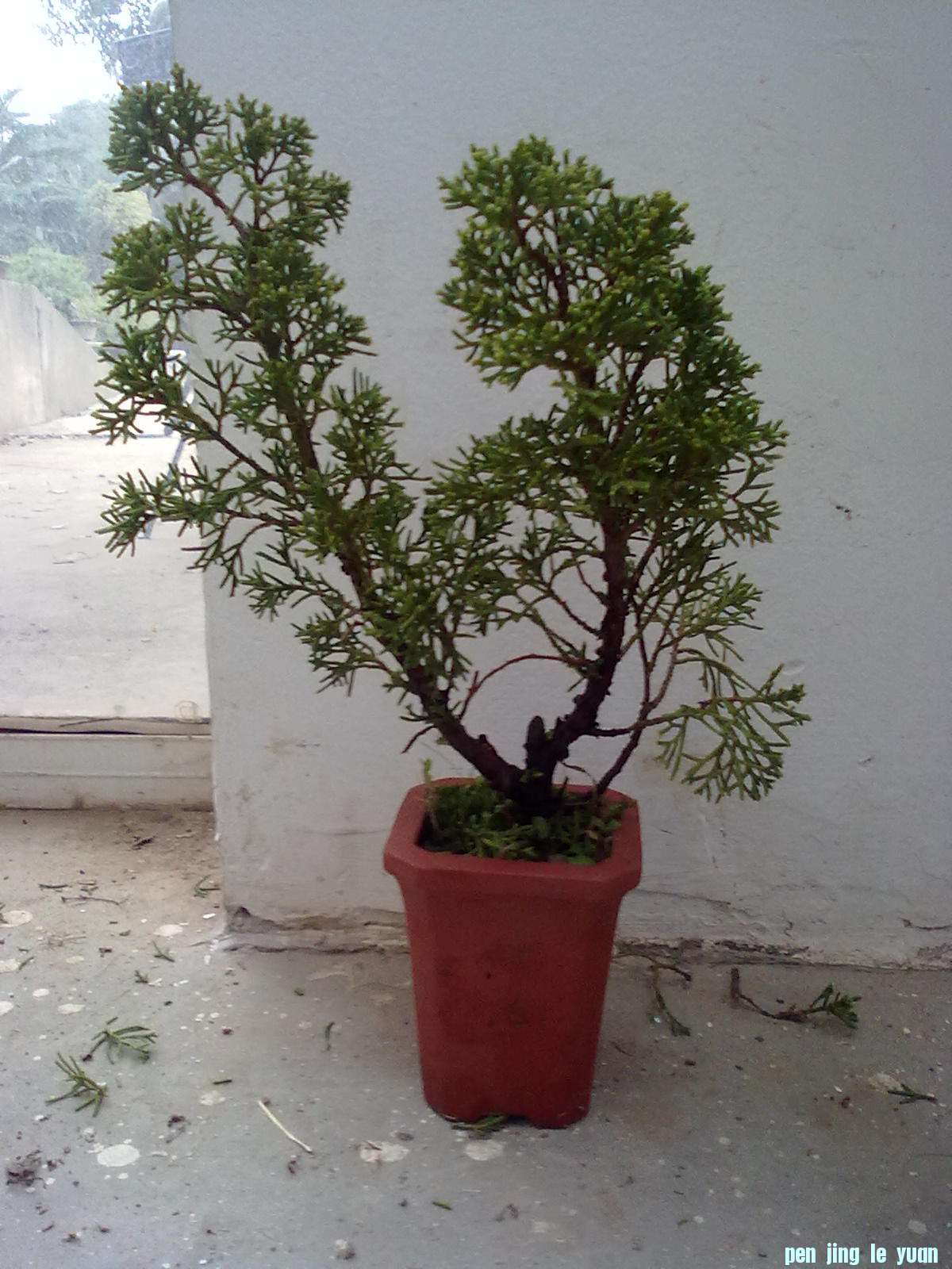 20111026868.jpg