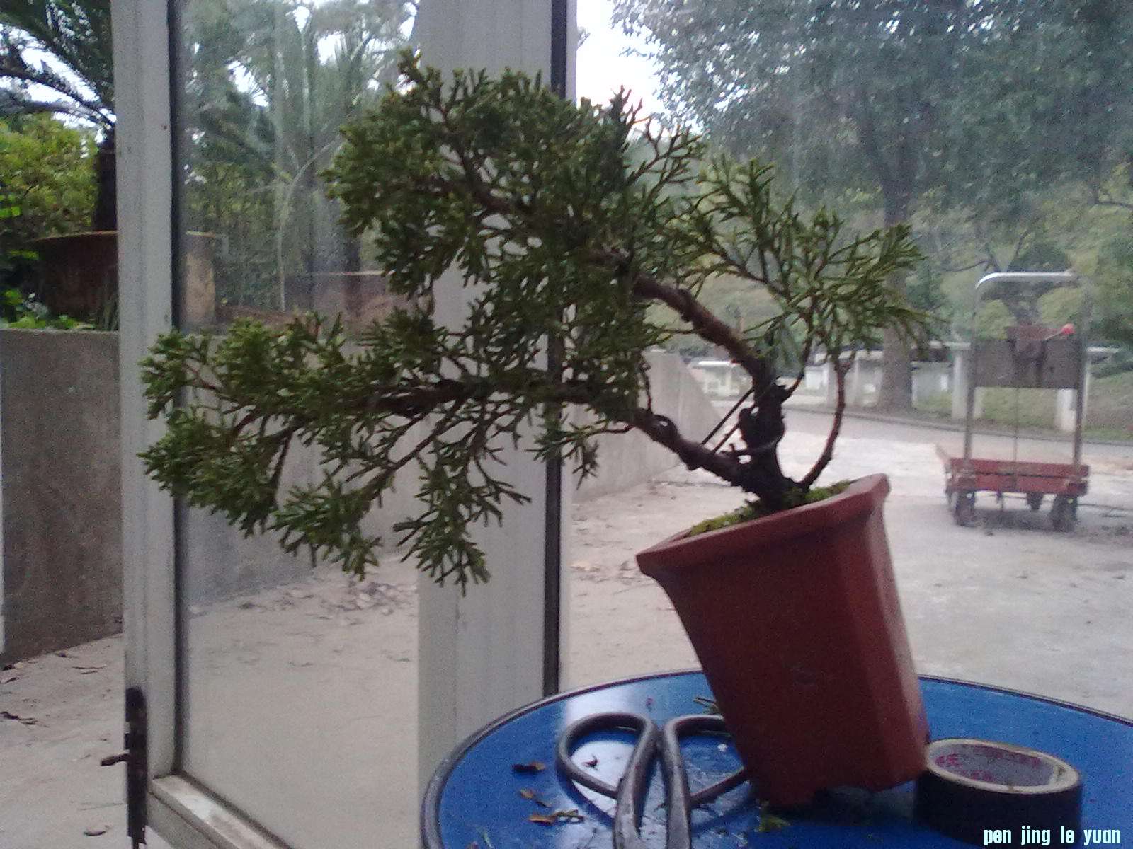20111026869.jpg