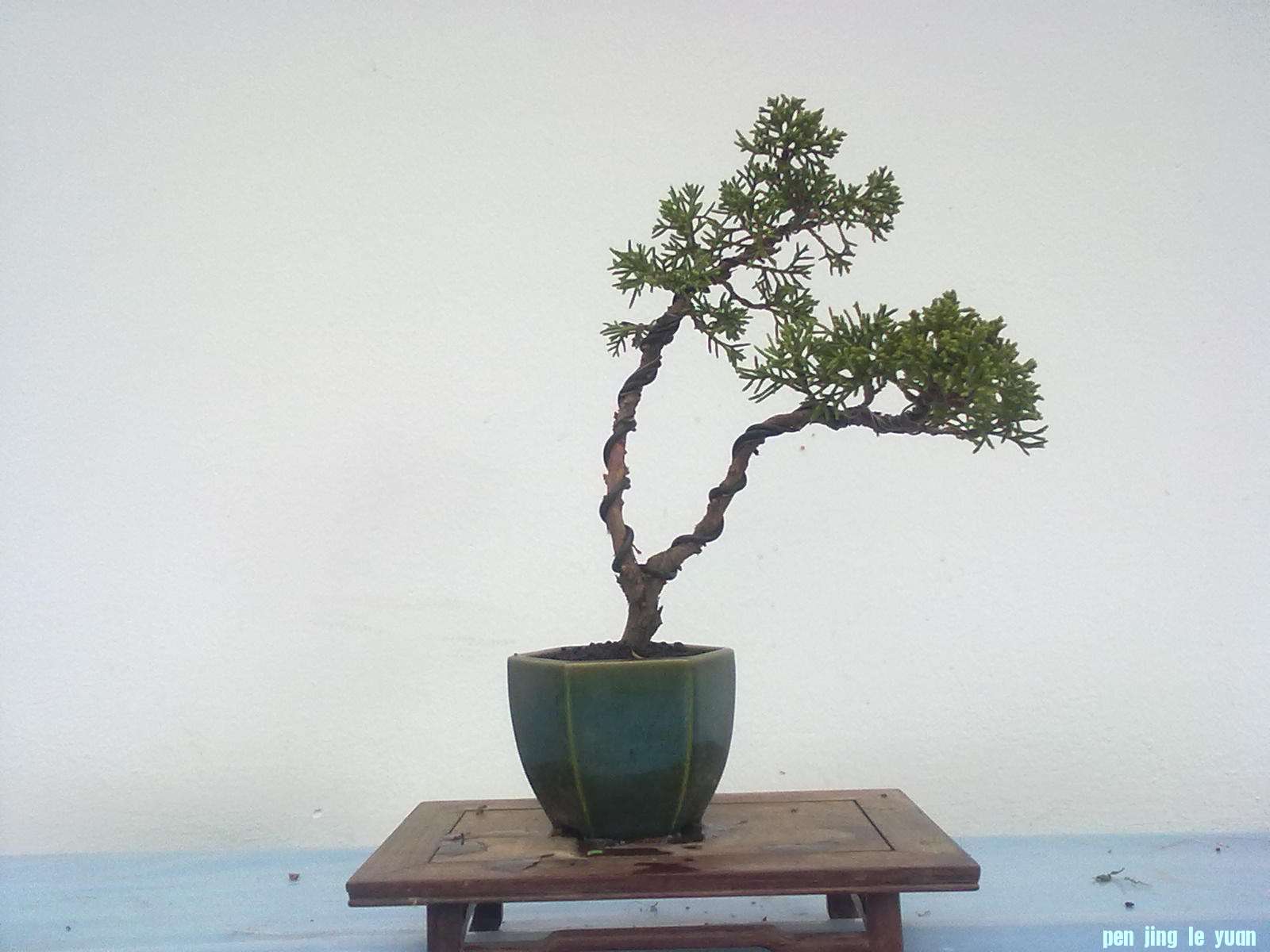 20111027870.jpg