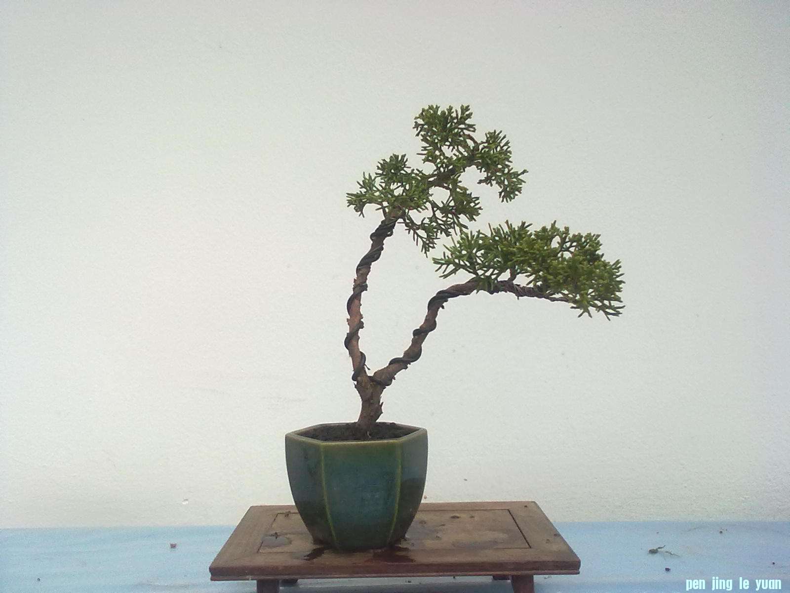 20111027871.jpg
