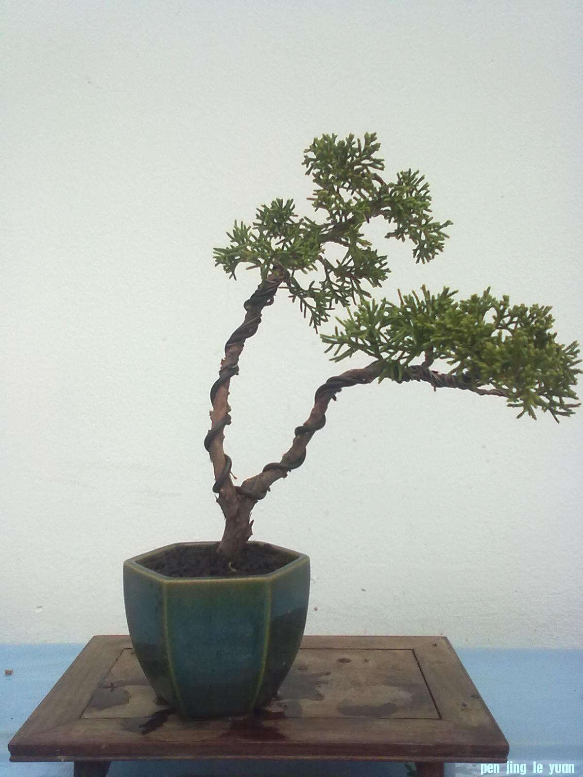 20111027872.jpg