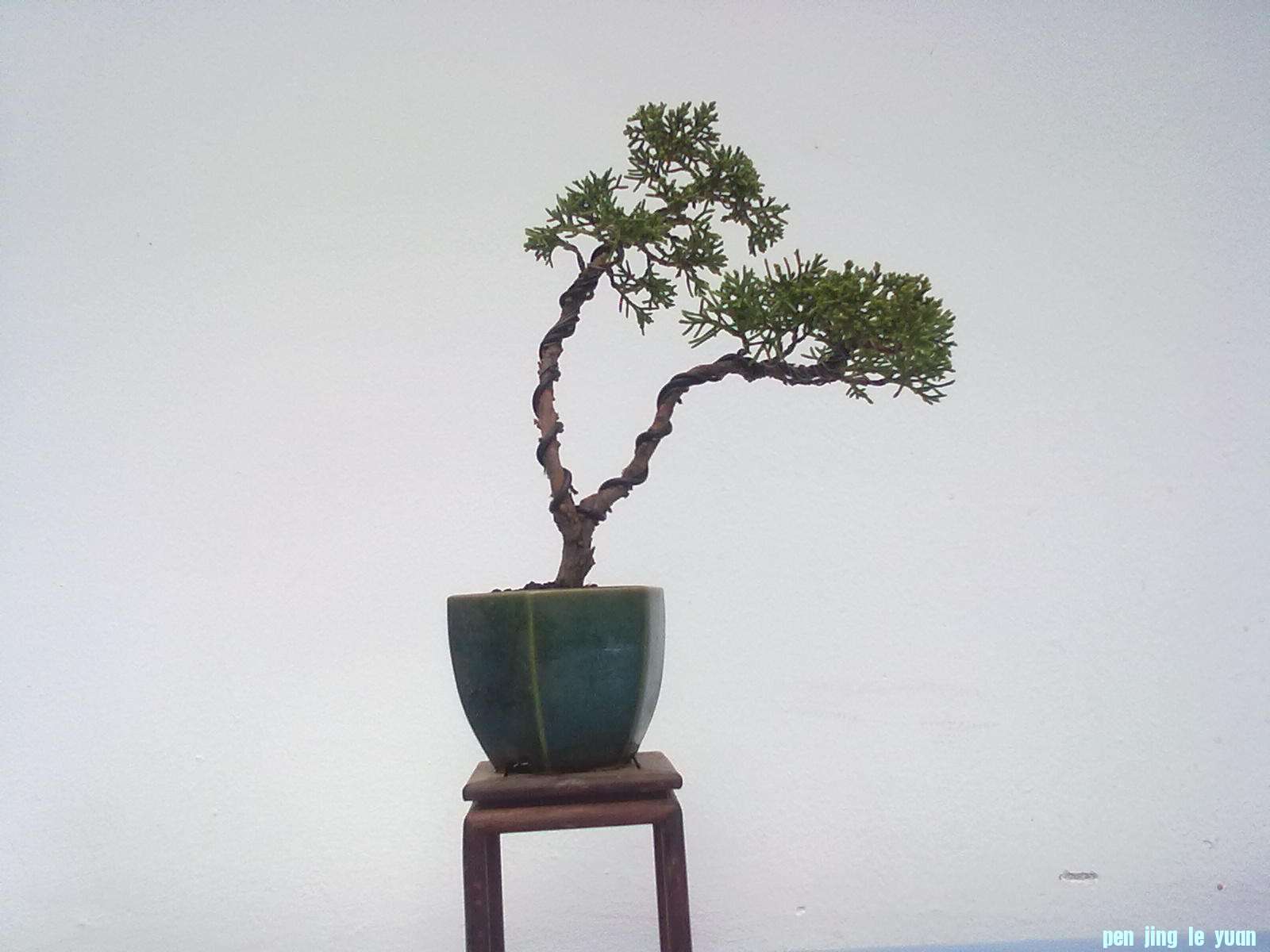 20111027876.jpg