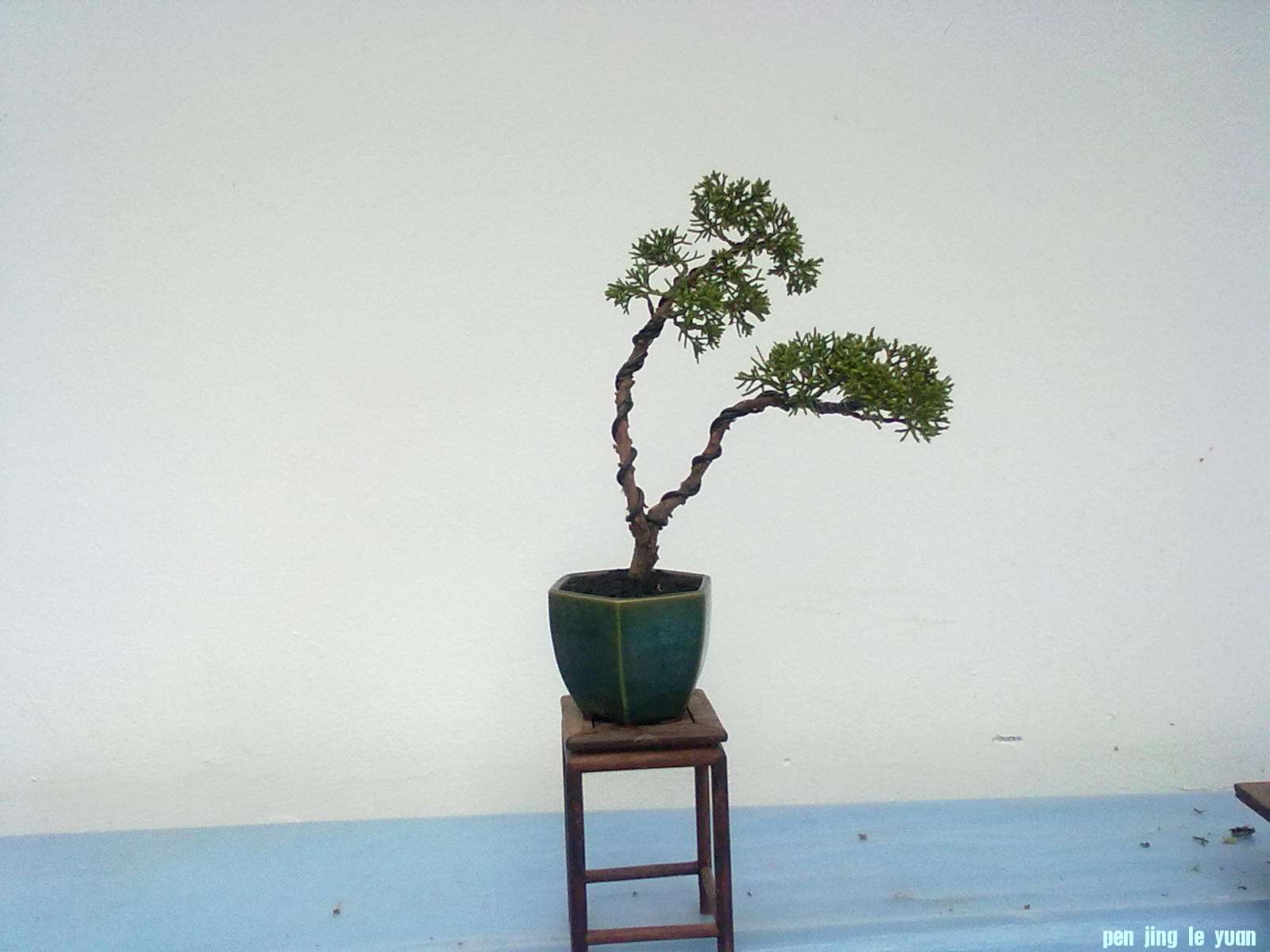 20111027877.jpg