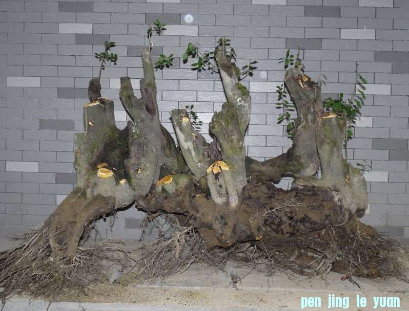 Ŵ2.jpg