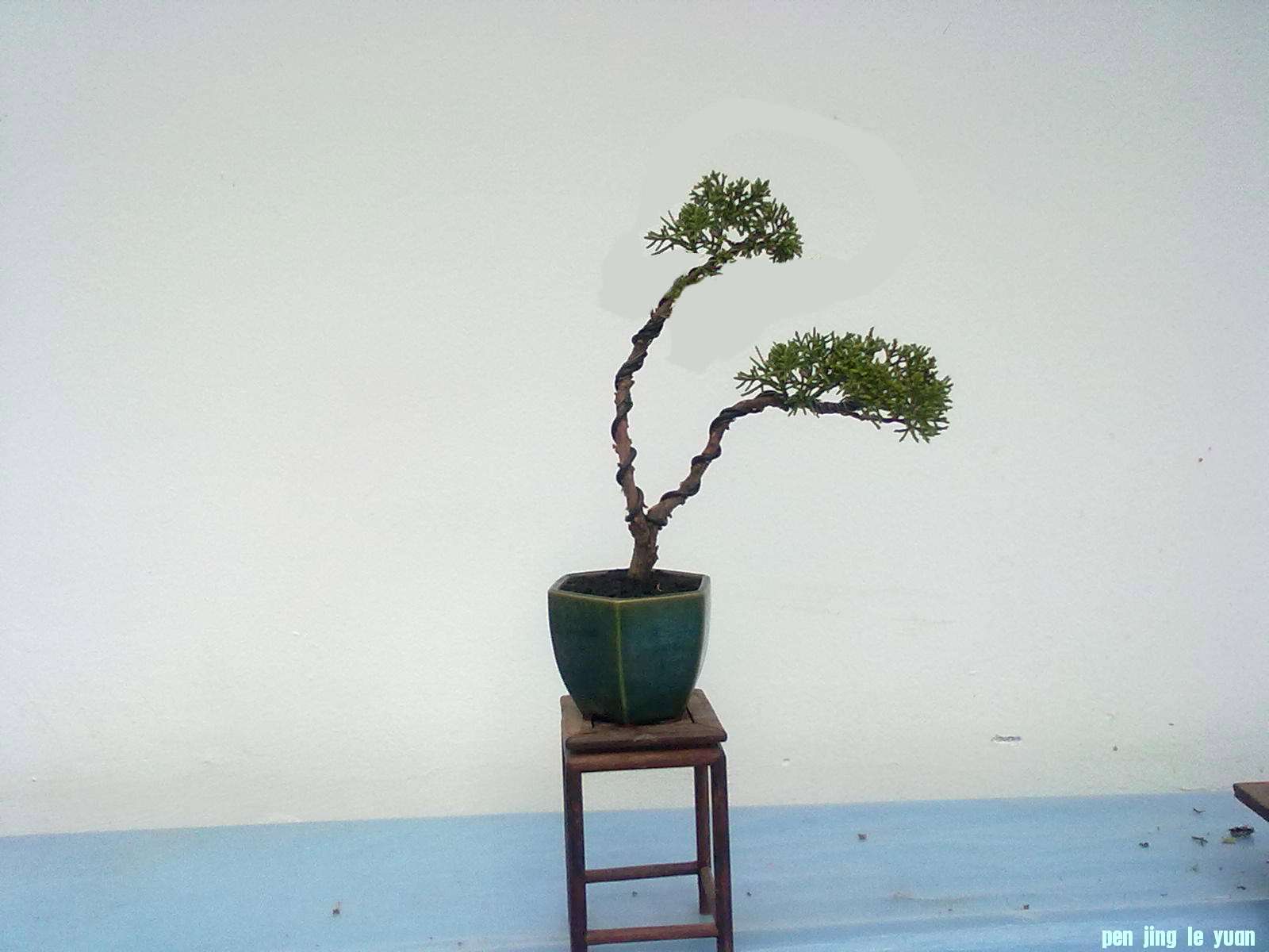 20111027877.jpg