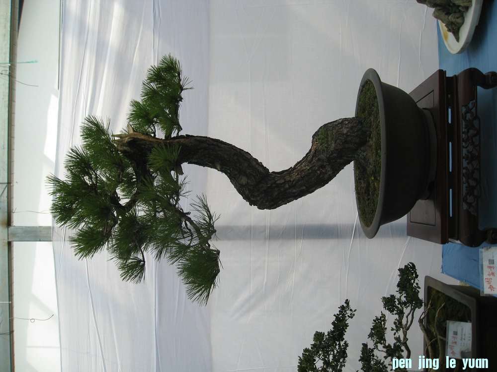 Ƭ 035.jpg
