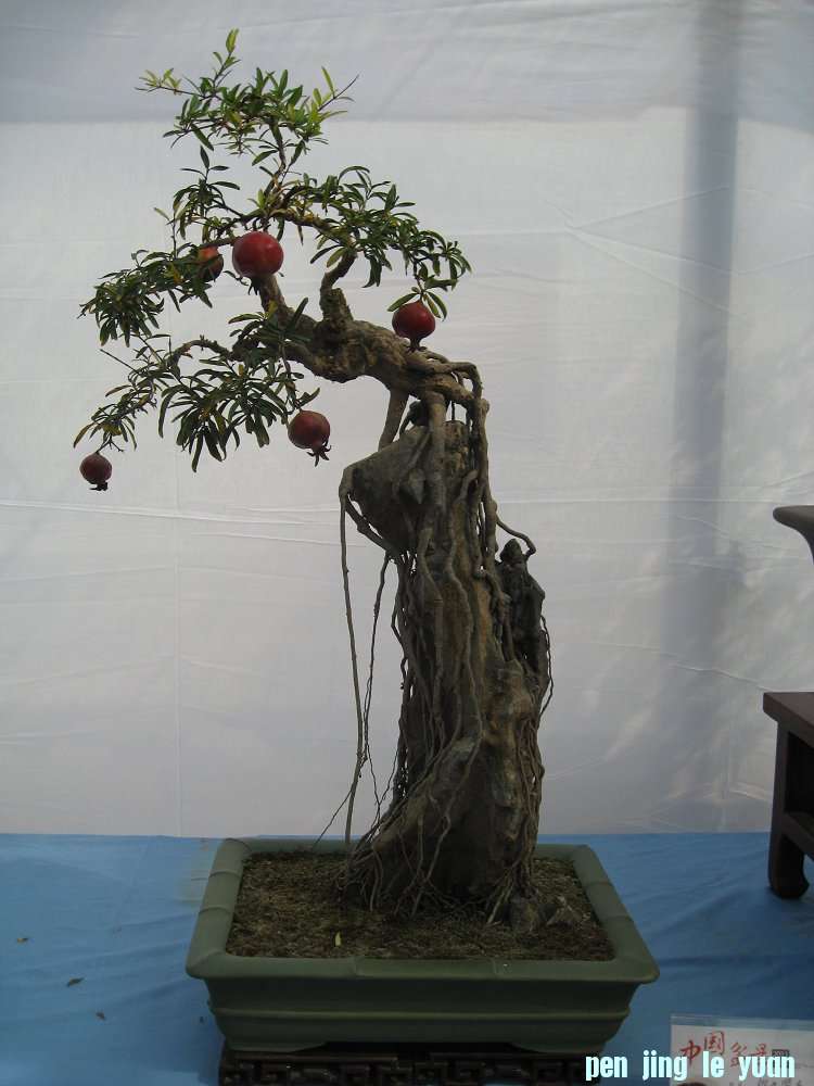 Ƭ 037.jpg