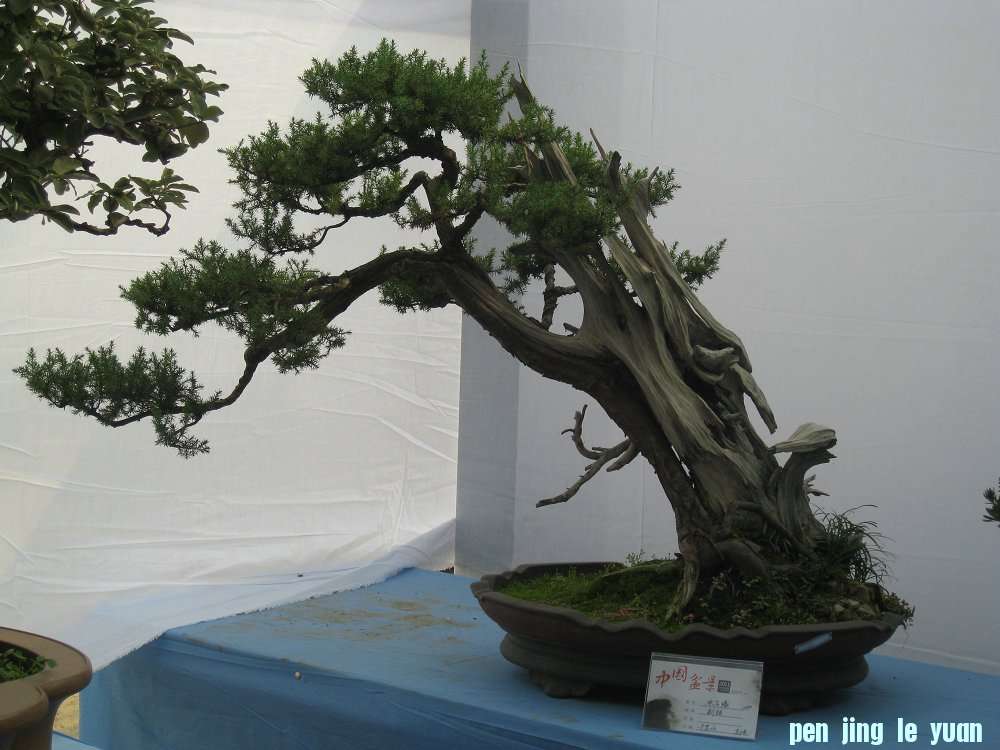 Ƭ 041.jpg