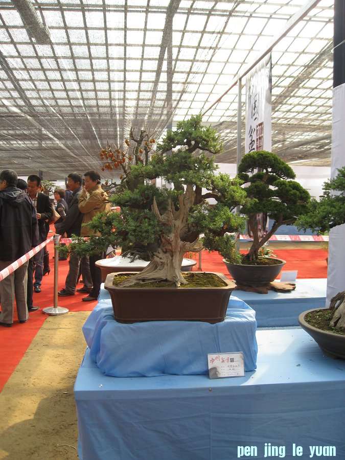 Ƭ 051.jpg