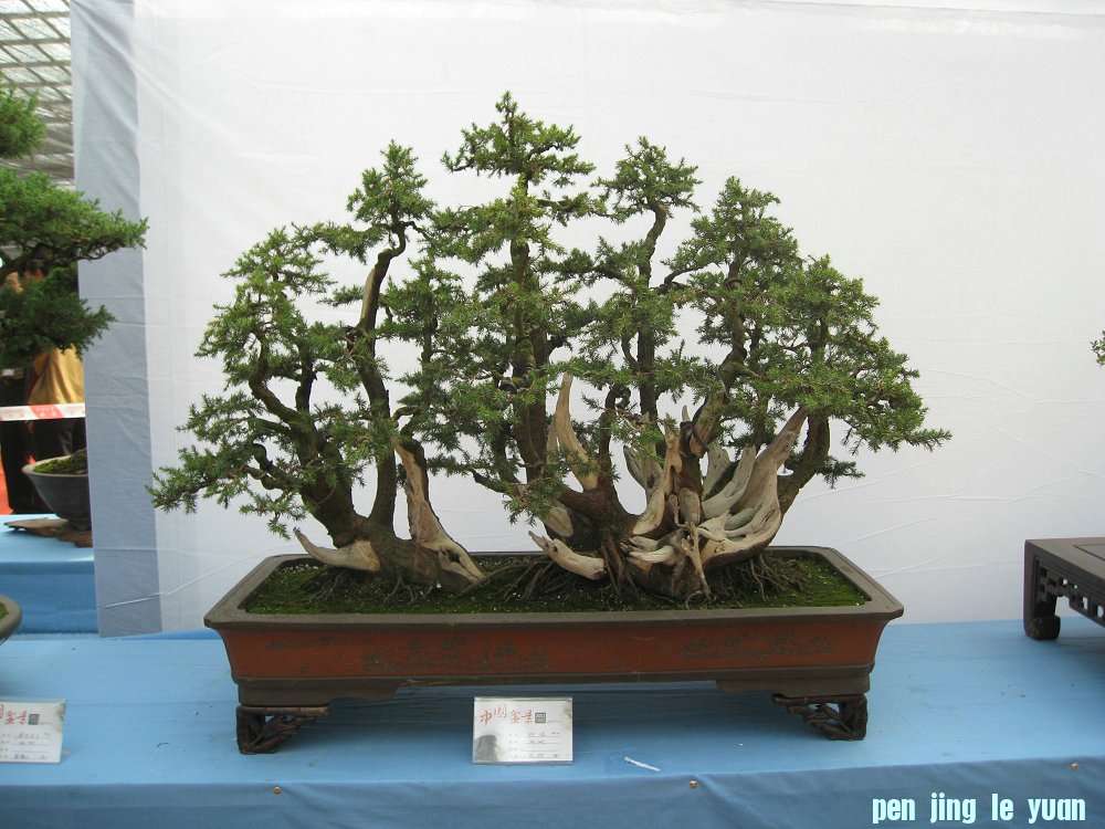 Ƭ 053.jpg