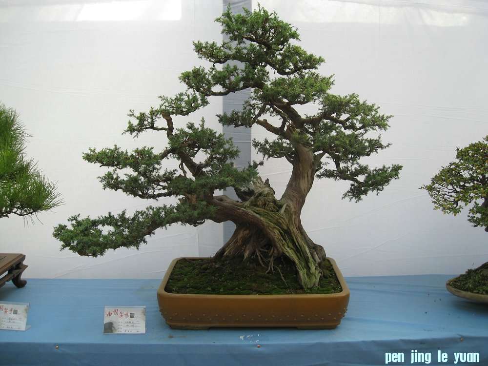 Ƭ 057.jpg