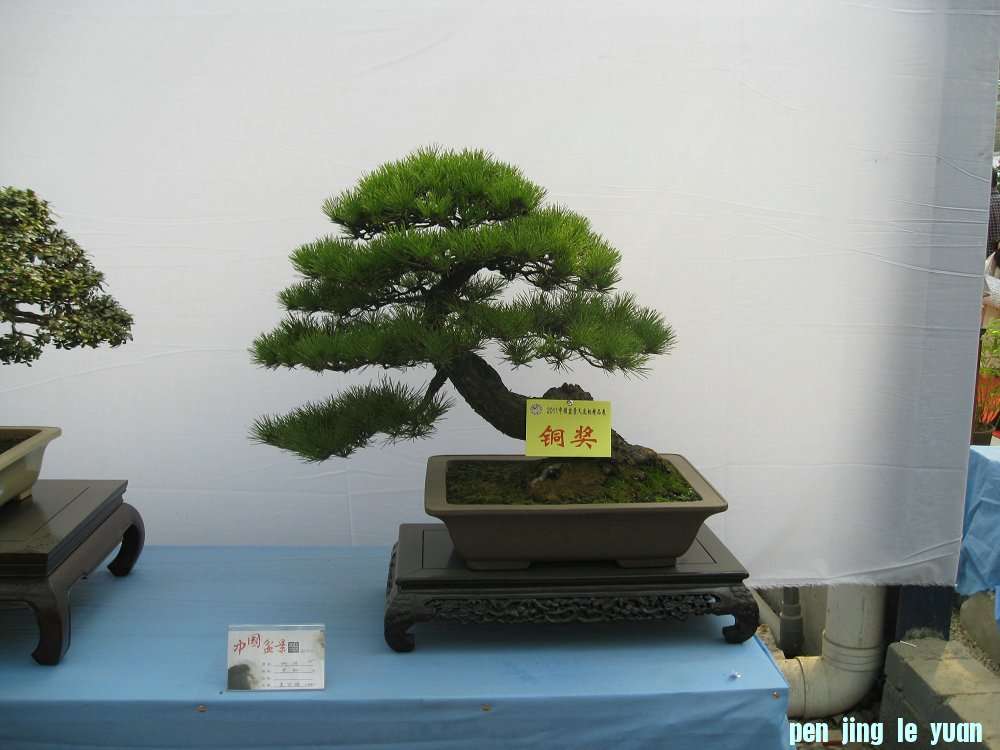 Ƭ 061.jpg