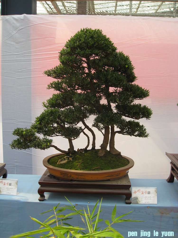 Ƭ 073.jpg