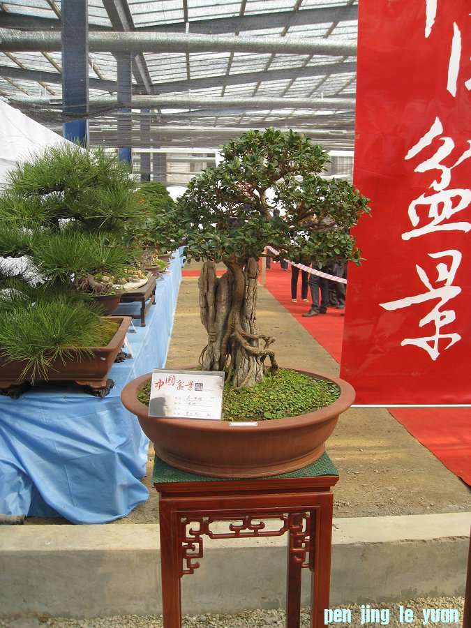 Ƭ 076.jpg