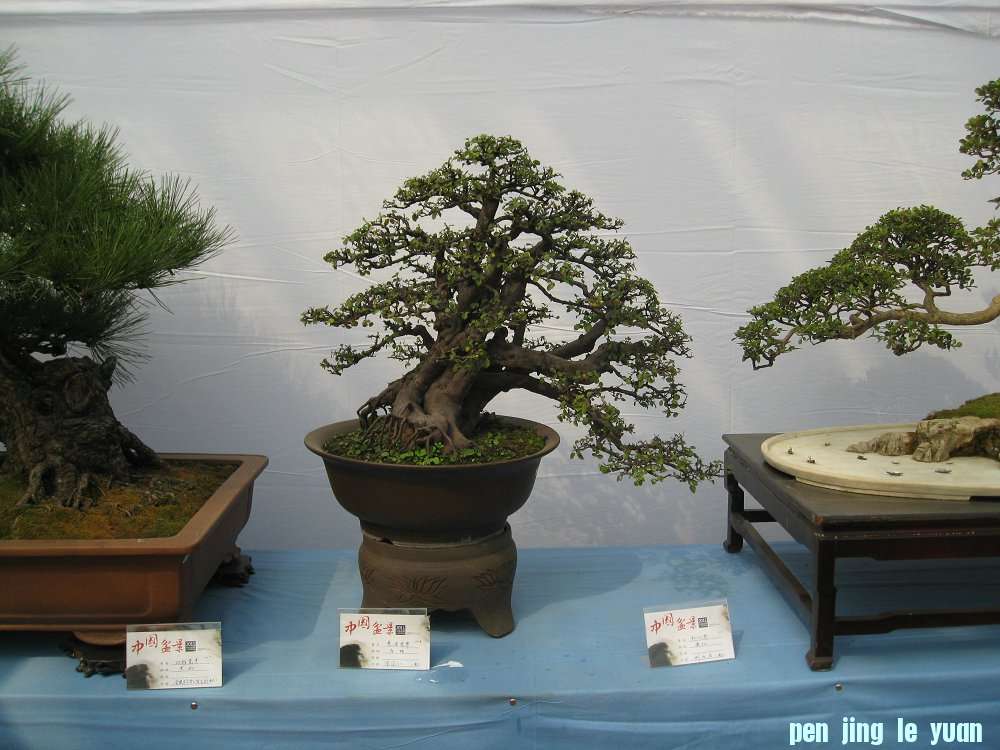 Ƭ 083.jpg