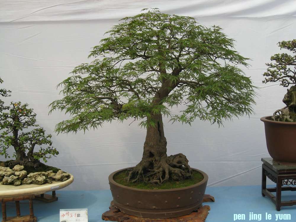 Ƭ 091.jpg