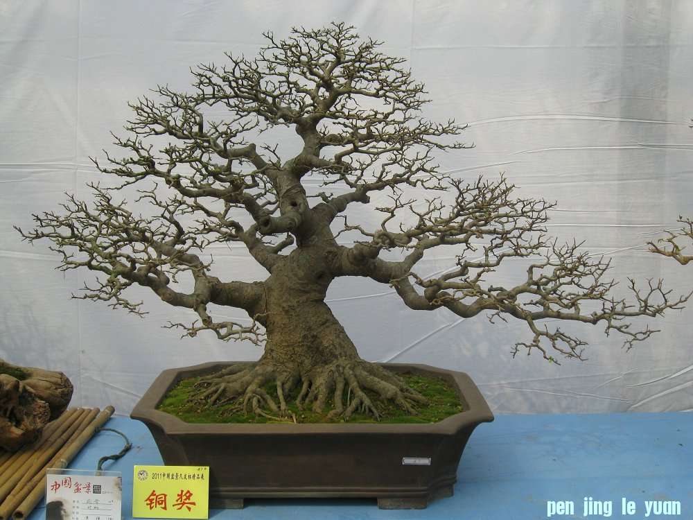 Ƭ 097.jpg