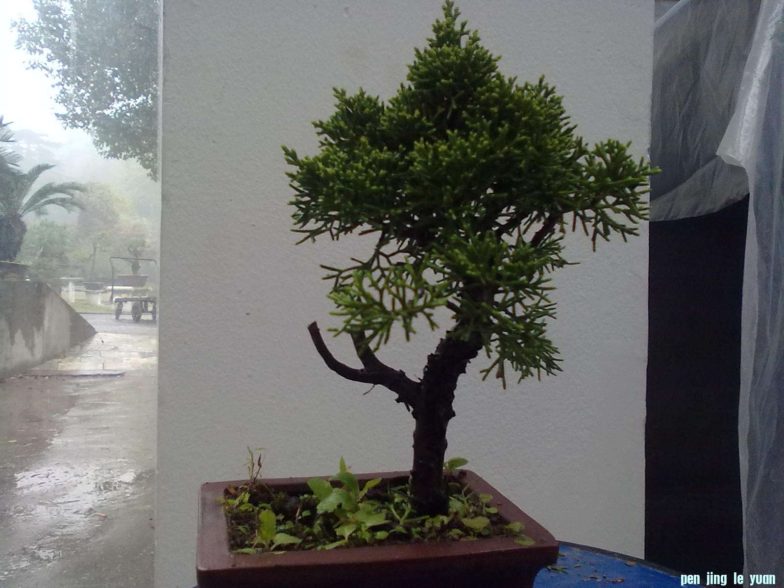 20111029889.jpg