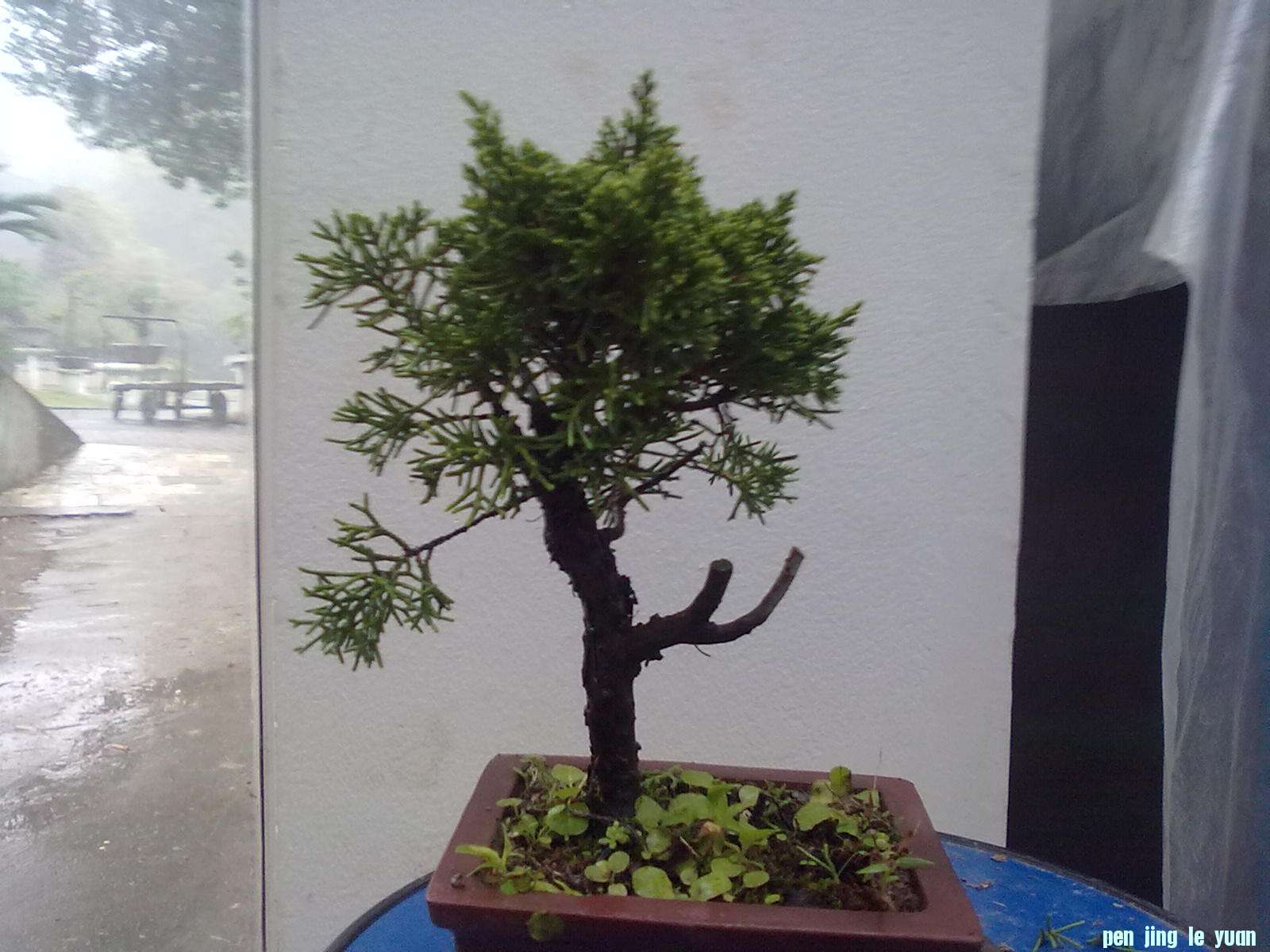 20111029890.jpg