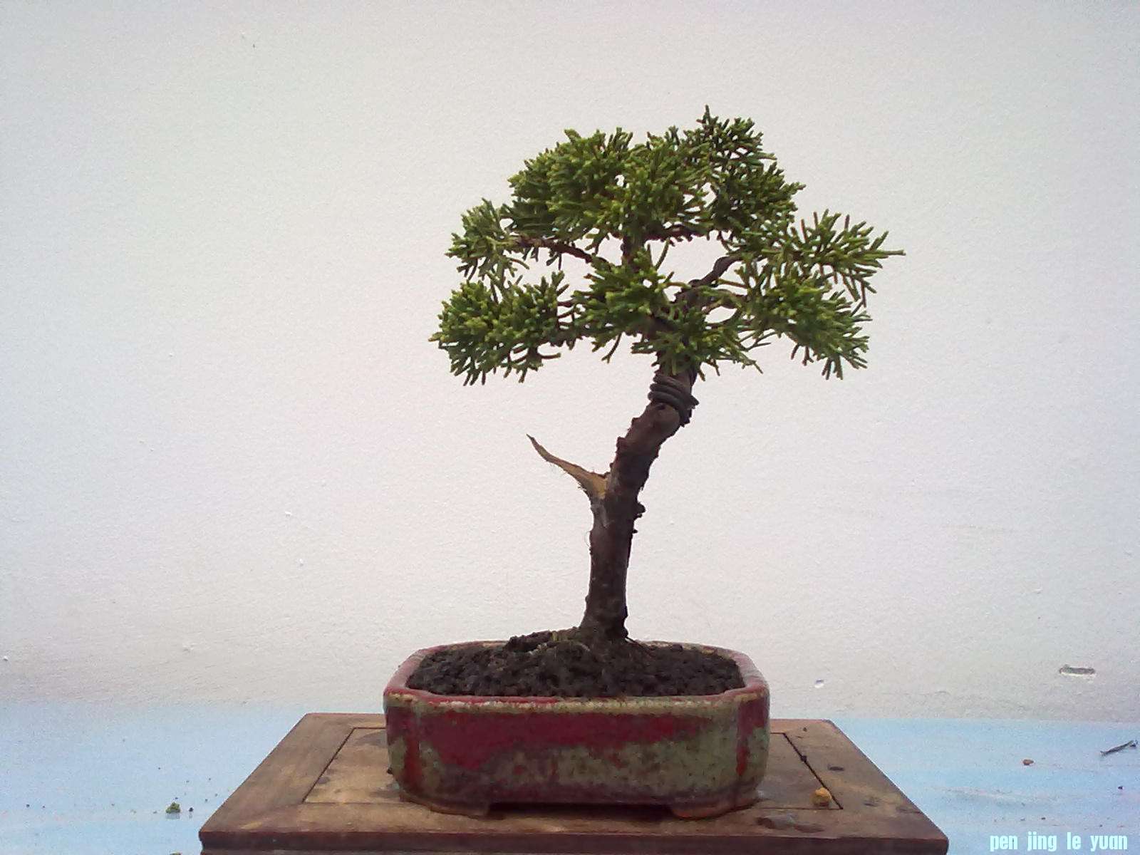 20111029910.jpg