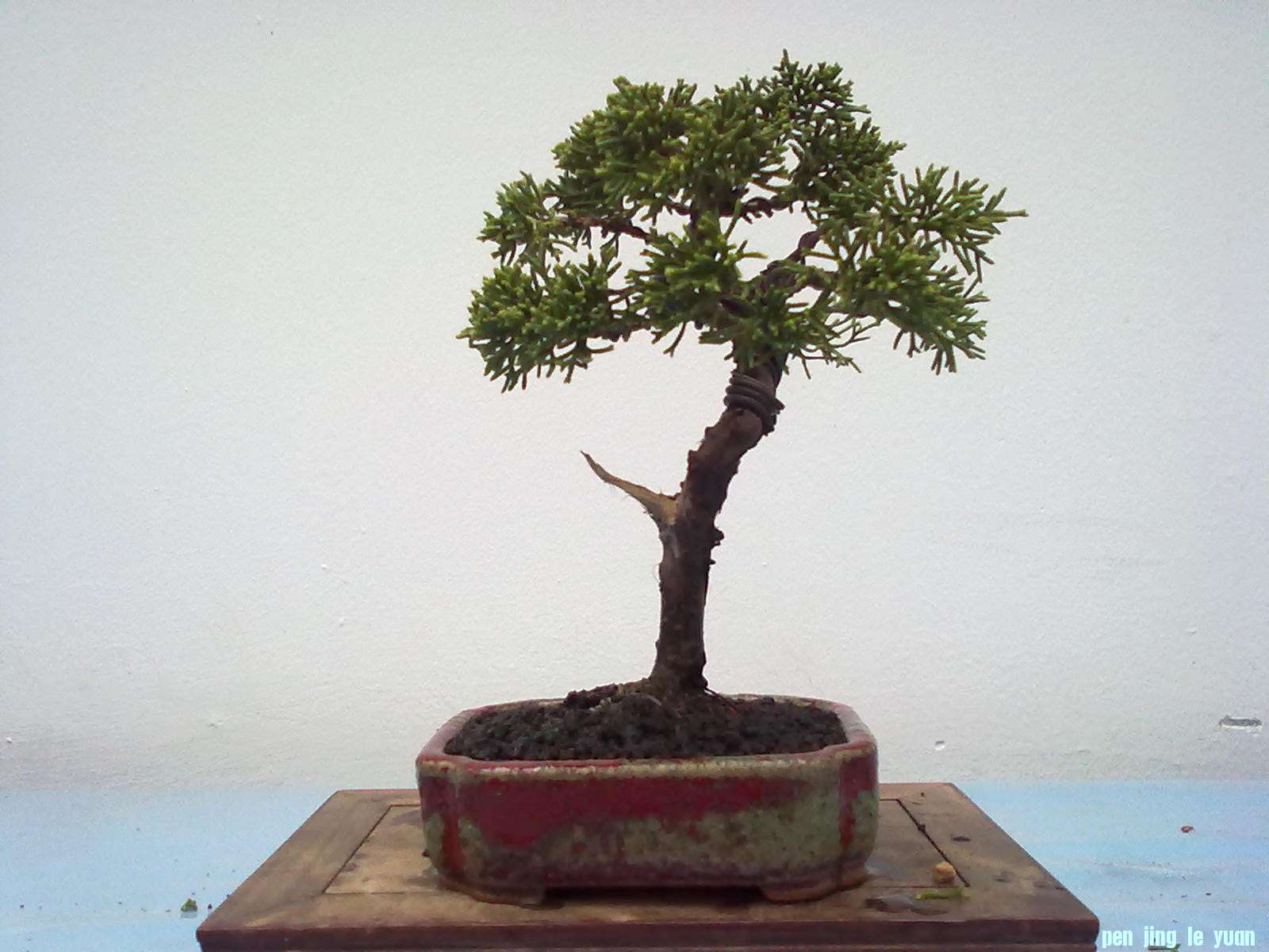 20111029914.jpg