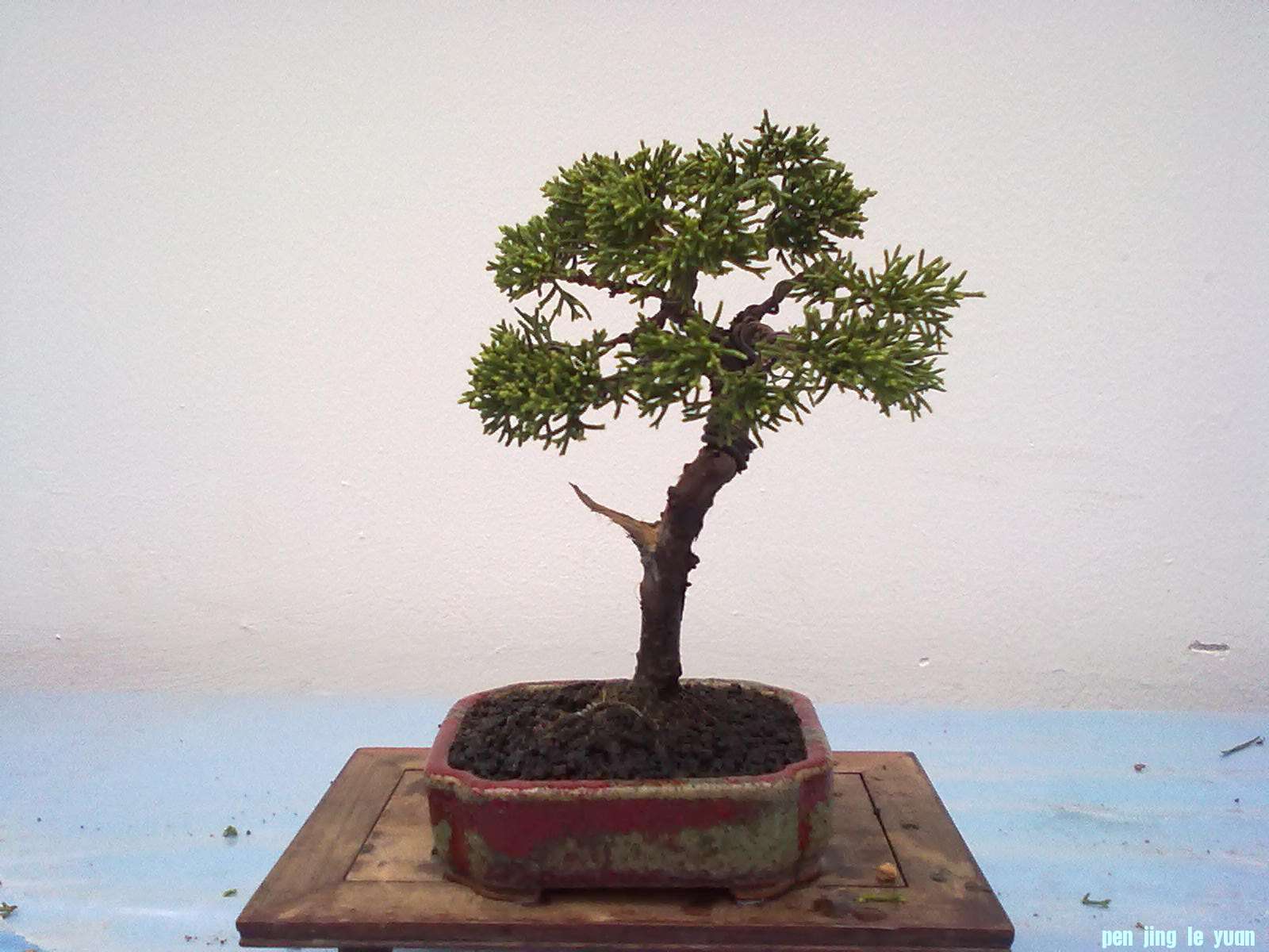 20111029915.jpg