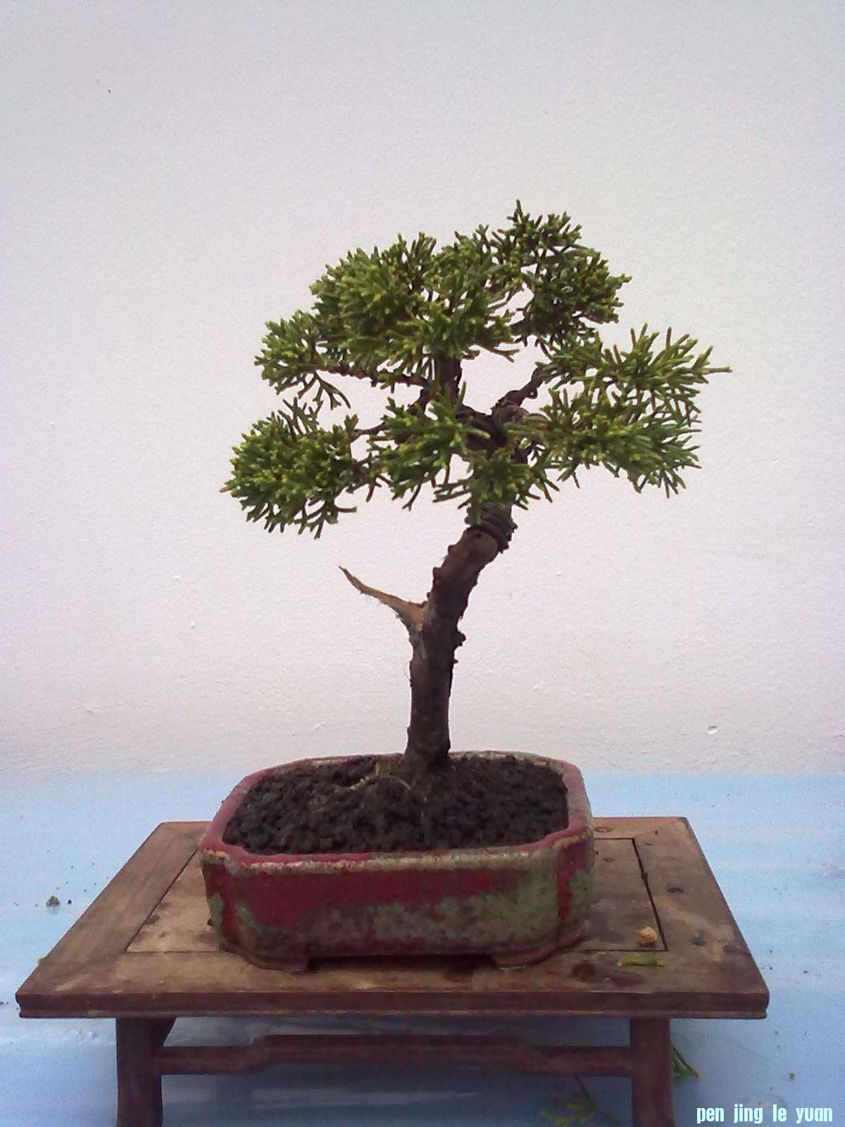 20111029916.jpg