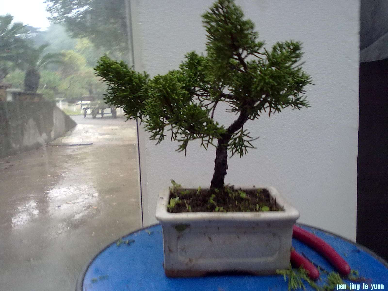 20111029918.jpg