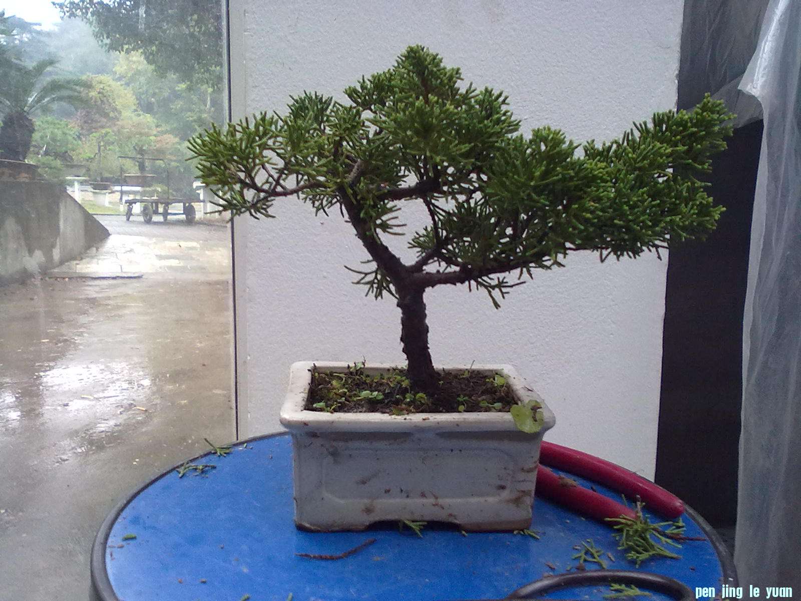 20111029920.jpg