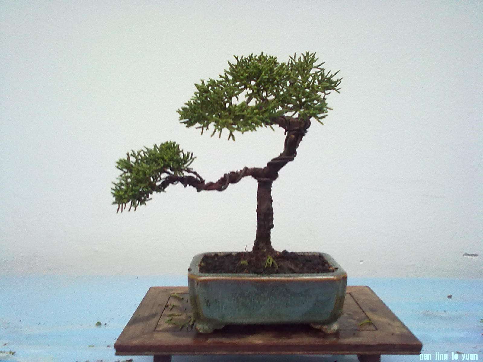 20111029937.jpg
