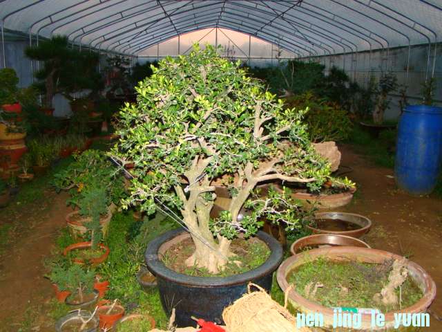 DSC07040.JPG