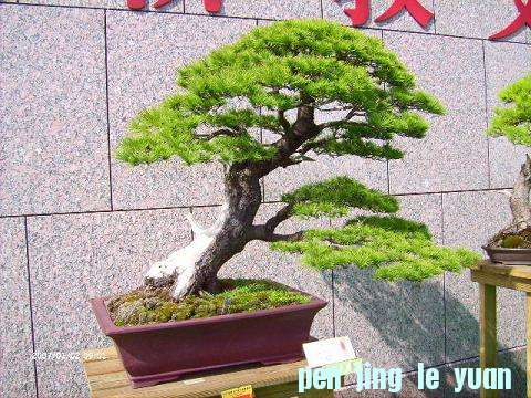 LPIC3087.JPG