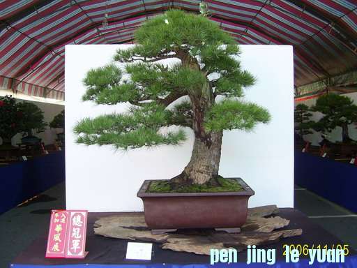 pic_4125_%E8%87%89%E5%B0%8F%E5%A4%A7%E5%B0%8F.jpg
