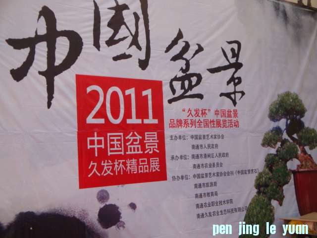 DSC06724.JPG