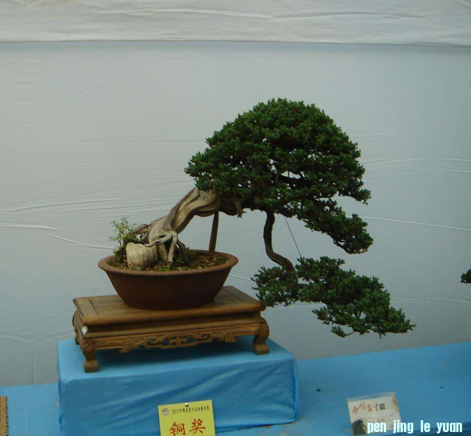 DSC03702.JPG