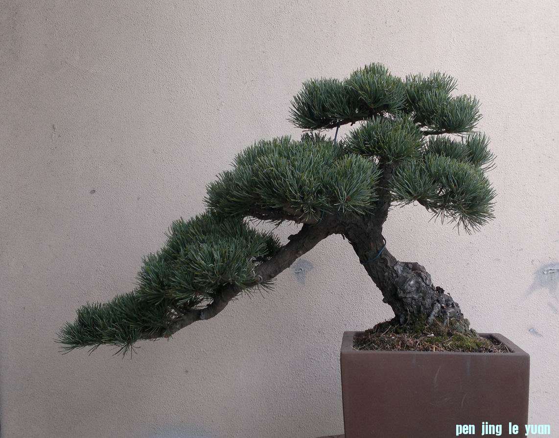 20111101354.jpg